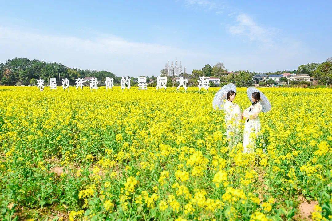 【热点聚焦】2023长沙市"春之声 游长沙"文旅季暨"说走就走趣星沙"