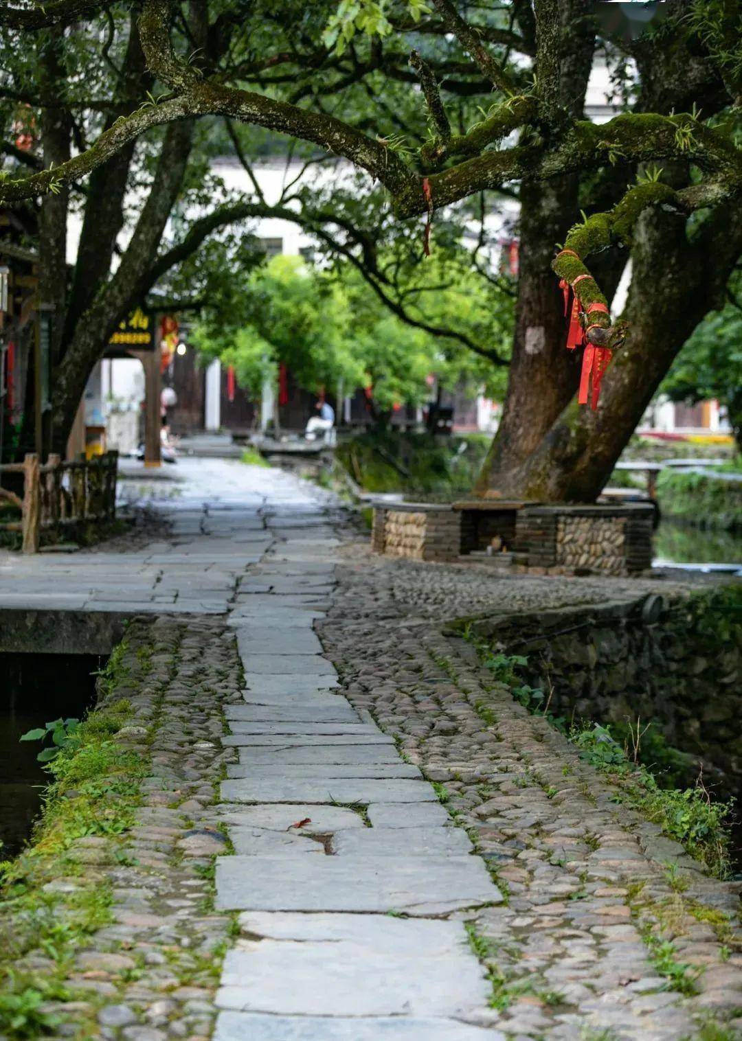 江南风景 乡村图片