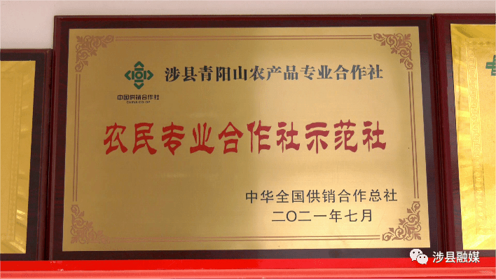 使得该村花椒等农产品走上专业化,市场化轨道,成为农业增产,农民增收