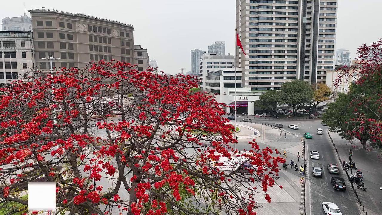 2022新作 Pre Autumn 中島千波 月下紅白梅 雪・月・花「月