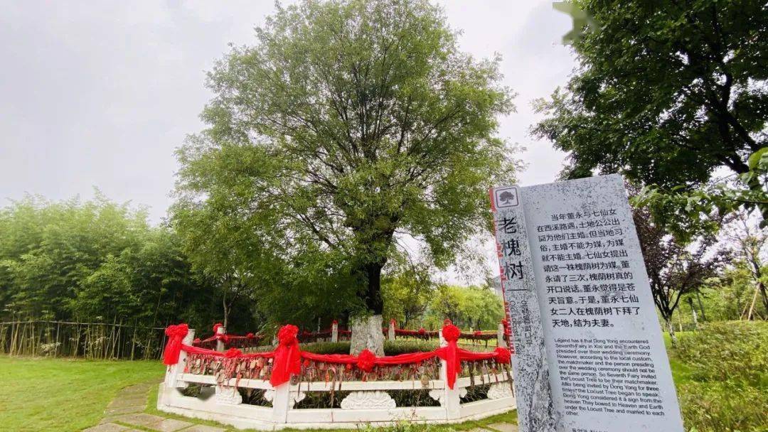 东台市西溪旅游文化景区董永七仙女文化园荷兰花海网红景点了解一下