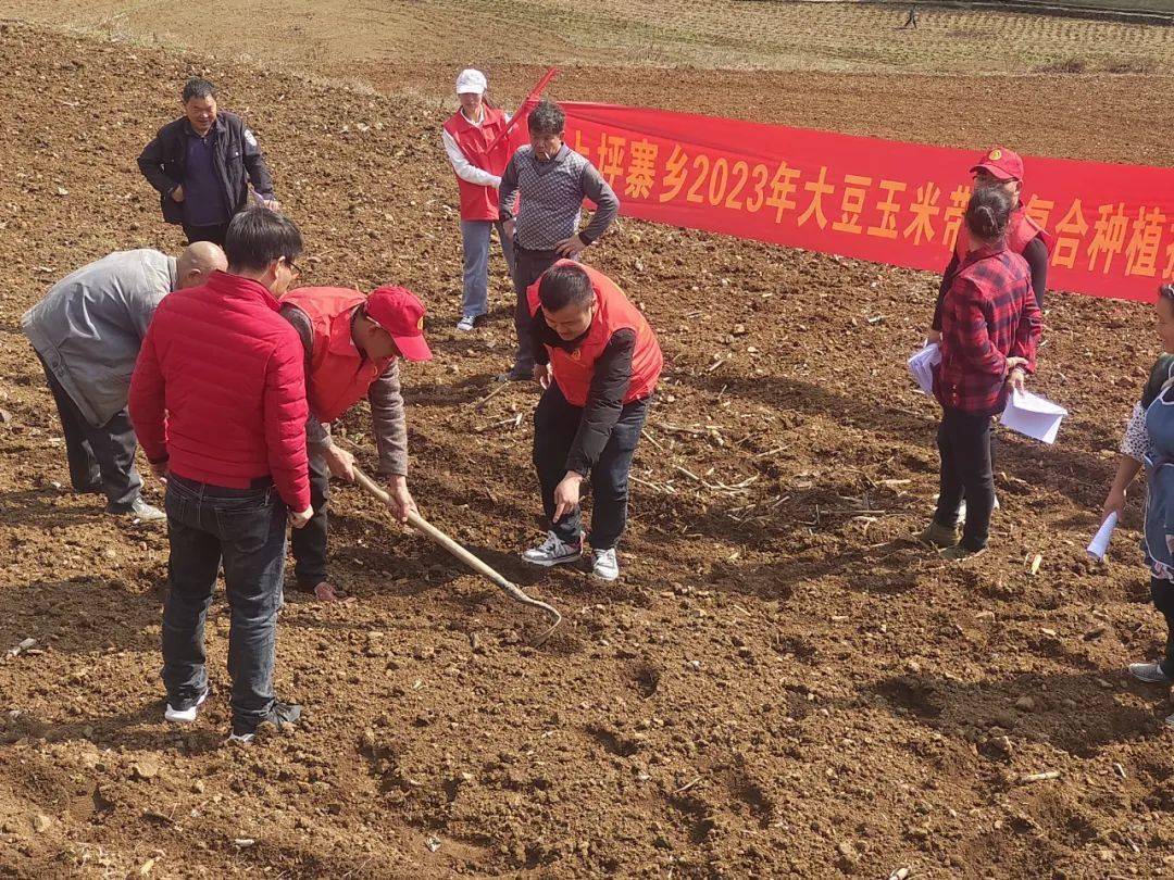 织金县上坪寨乡:推广农业新技术 做好产业助丰收_种植_技术培训_科技