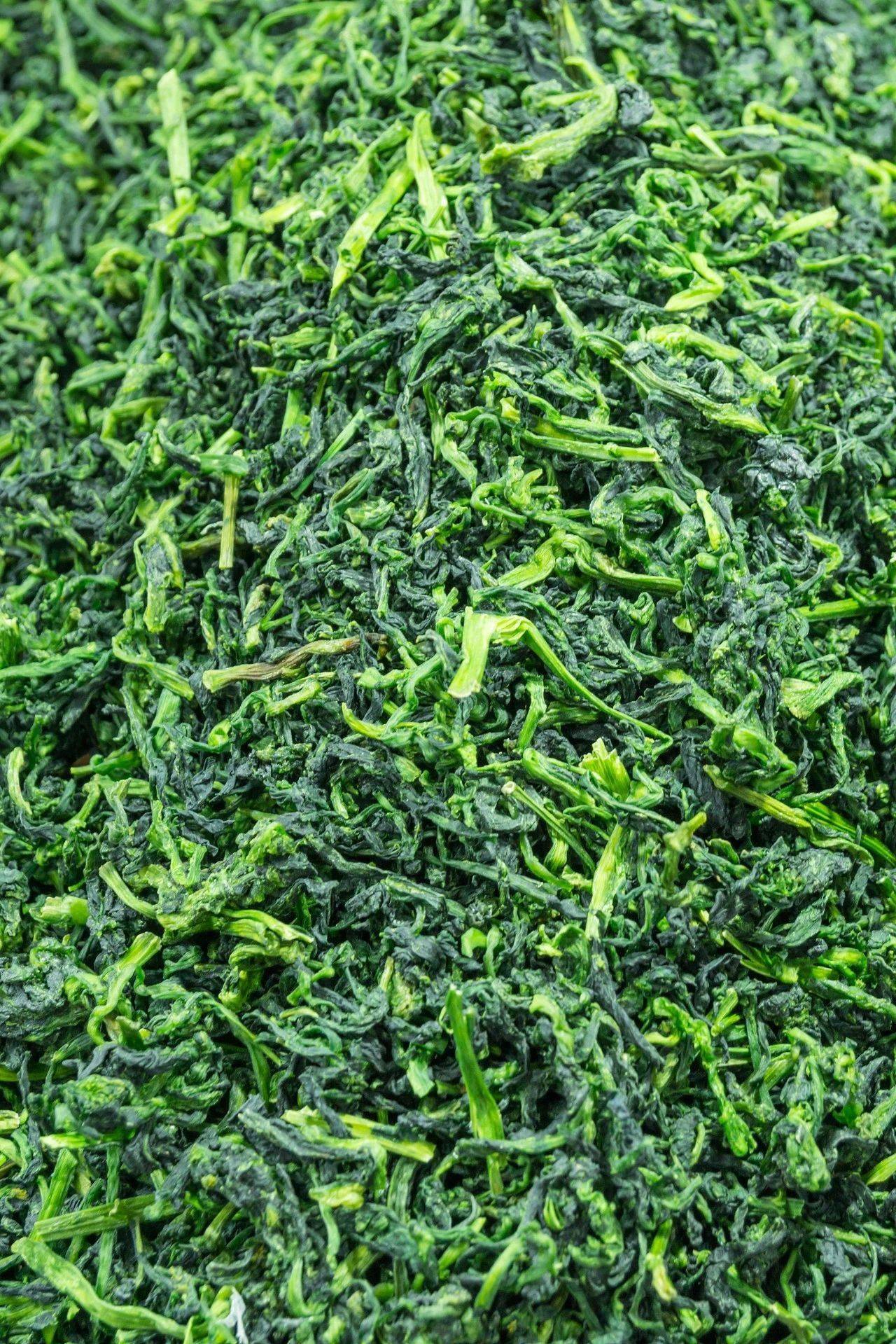 太脏了!橄榄菜爱好者震怒_芥菜_蔬菜_历史