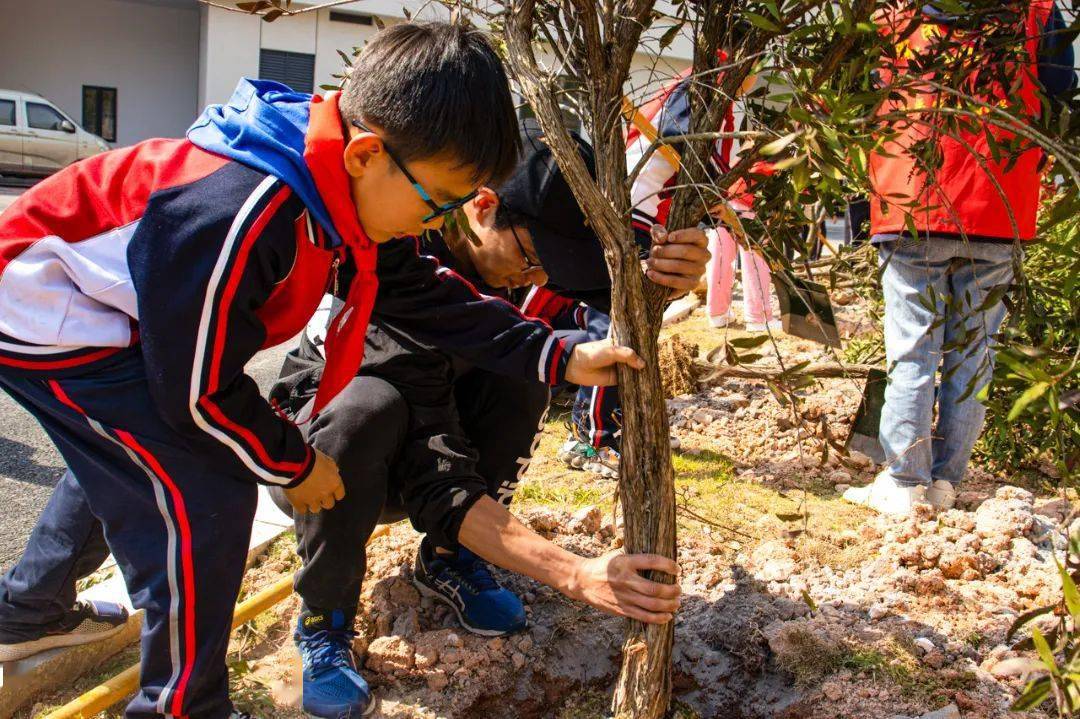 "植"此青绿 不负春光 | 我院联合南平实验小学(江南校区)开展植树节