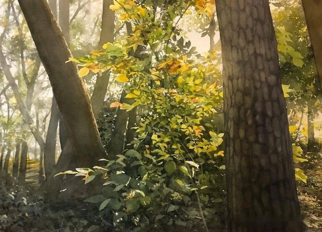 阿部智幸在户外作画光与影,景与情