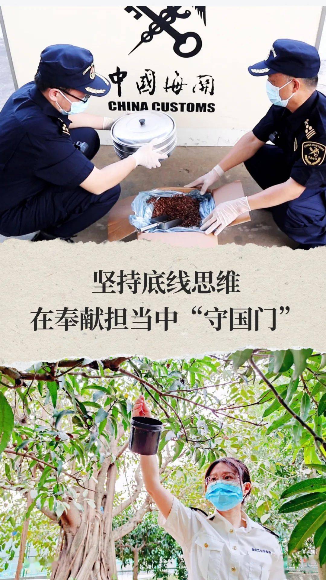 愿以寸心寄华夏 且将岁月赠山河_金水河_海关_口岸