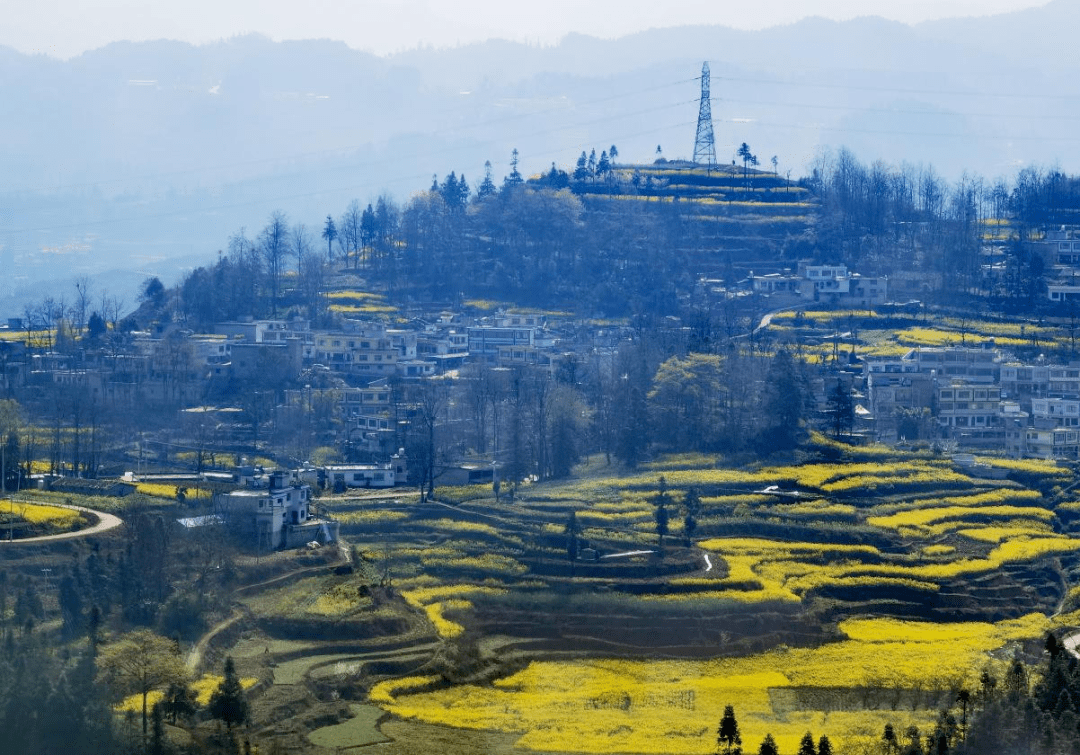 织金猫场镇全景图片