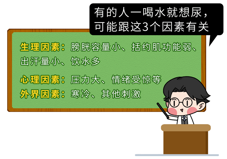 一喝水就尿多想上厕所,这是肾脏好还是不好?看完涨知识了!