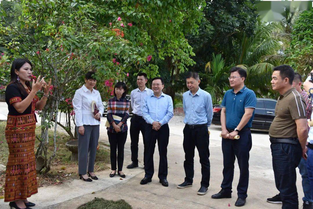 省人大常委会调研组到万宁开展黎医黎药体系建设情况调研_医药_发展