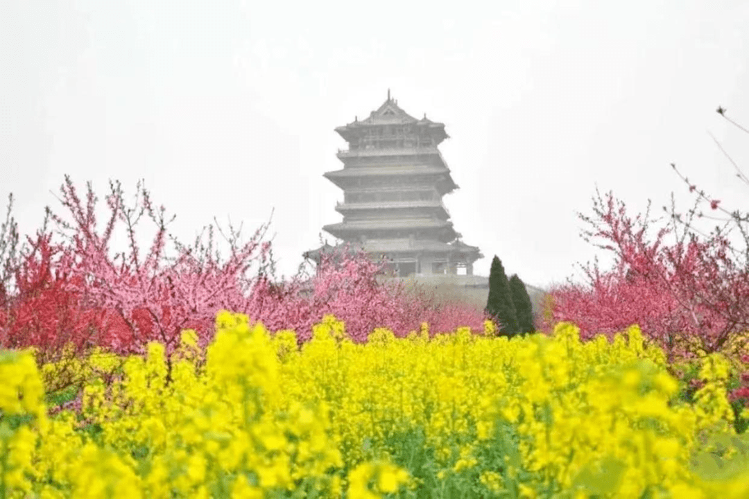 【大美永濟 打卡花期】永濟賞花全攻略!時間品種地點…都給您選好了!