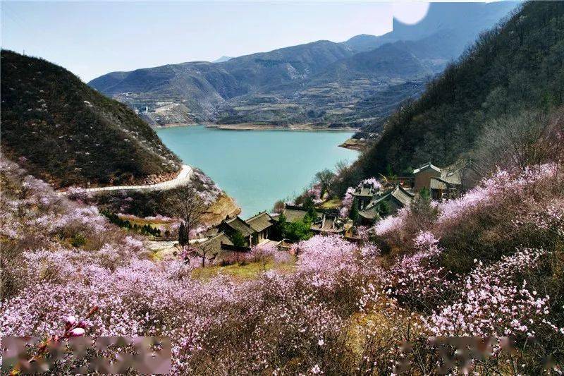 踏春游平凉时不我待,精品线路您选好了吗?_崆峒山_龙泉寺_灵台