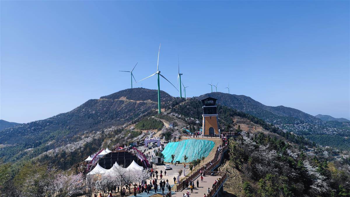 万余株野樱花绽放如云似海,咸宁市咸安区首届樱花文化旅游活动开幕