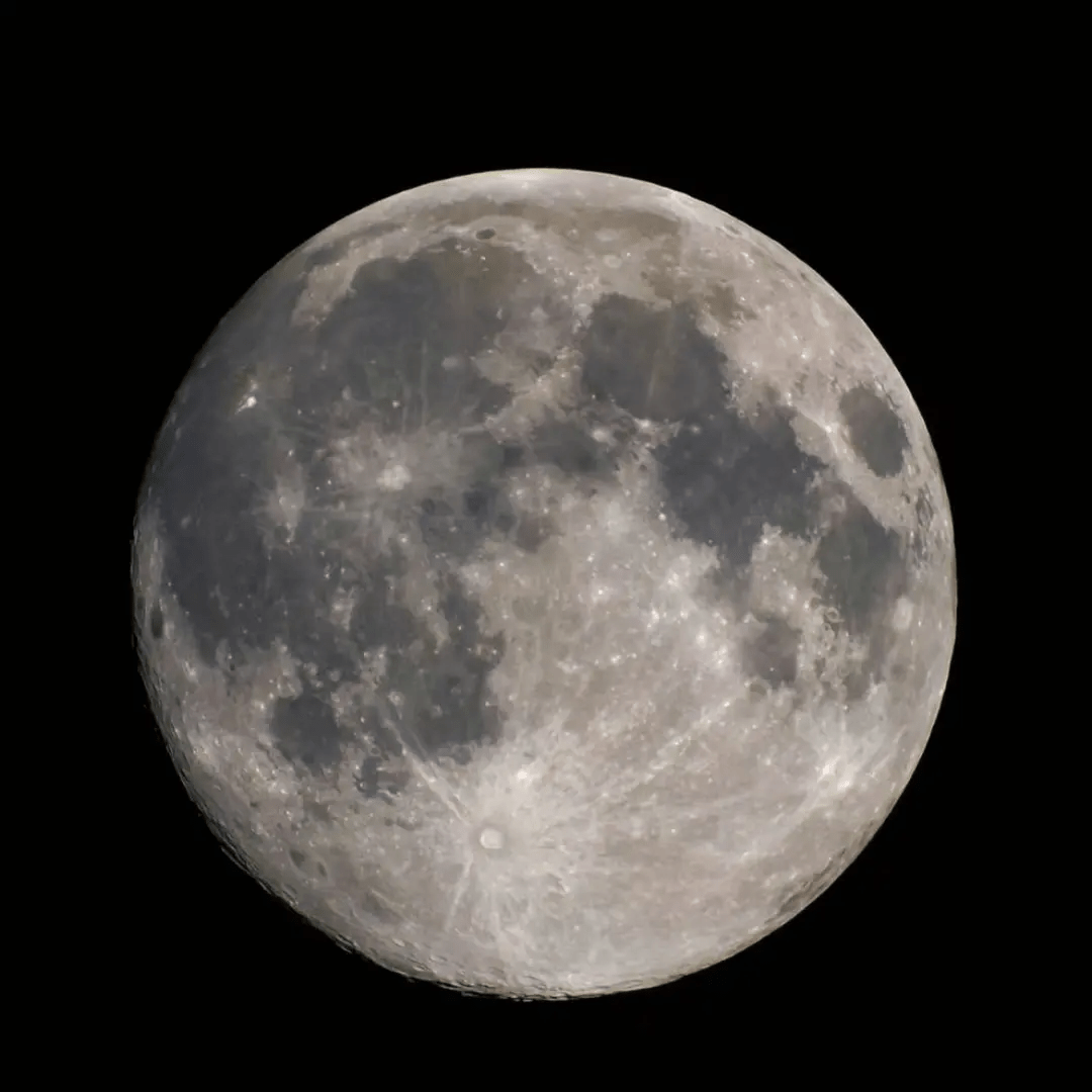 �˼�ר�� | ŷ���� X Swatch������²��ˣ���ʿ��һֱ���� ...