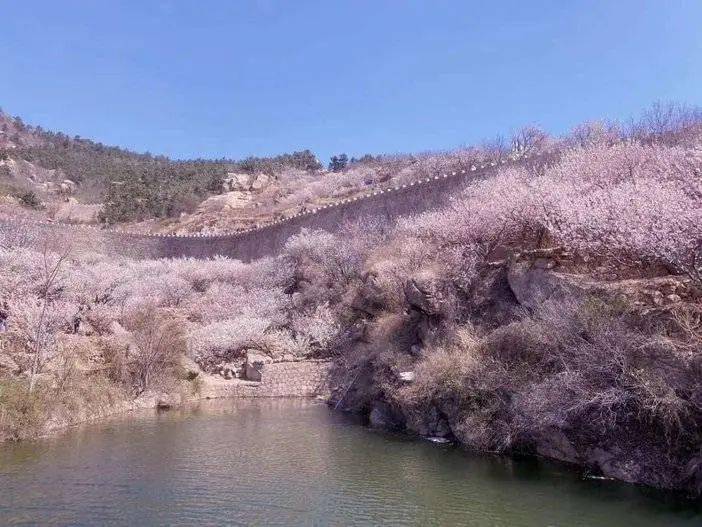 西安樱桃谷景区门票(西安樱桃沟景区游玩攻略)