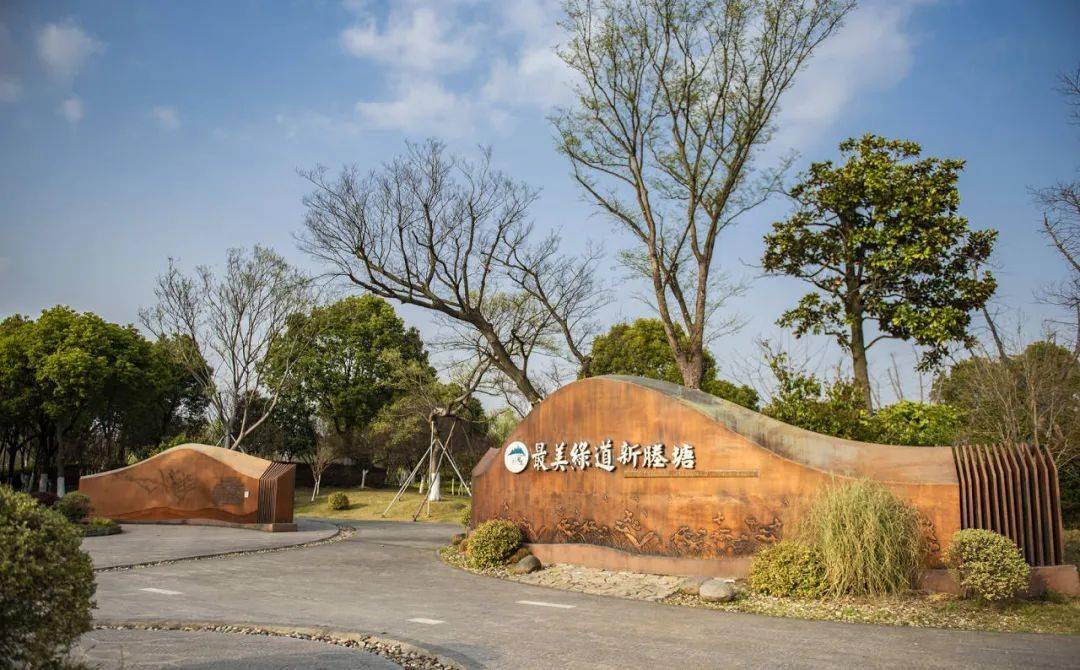 秀洲这里美翻了!_改造_花田_新塍