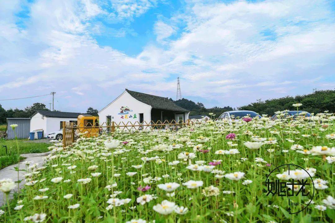 大岚樱花基地图片