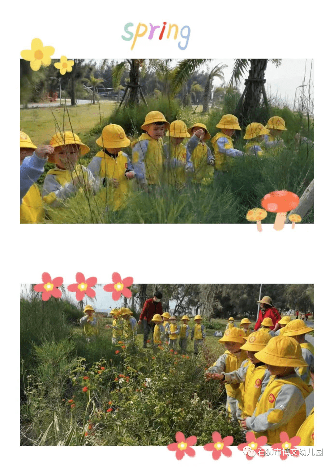 春天的早晨幼儿园图片