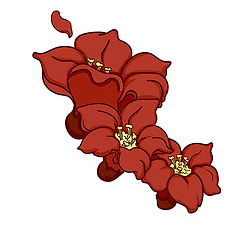 三月的木棉,悄悄惊艳了整个佛山_公园_花朵_枝头