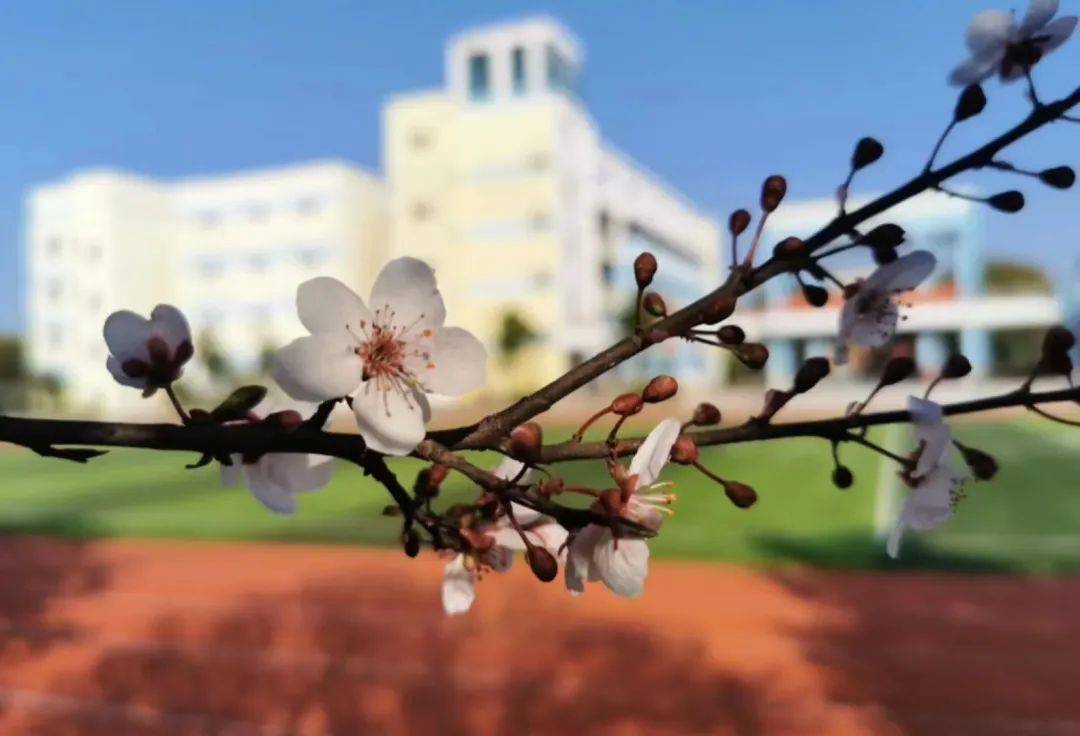 瓜埠初级中学图片