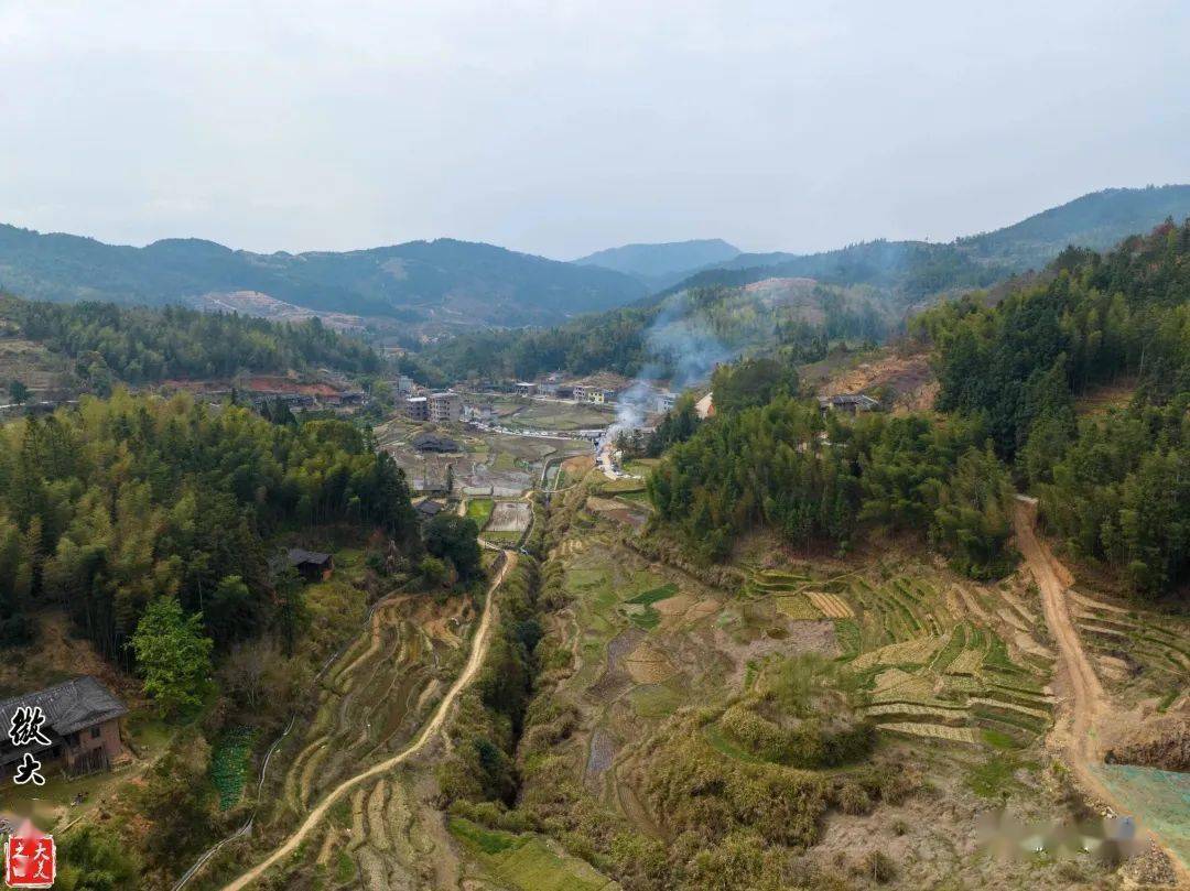 有限公司于2019年在大田县屏山乡许坑村投资种植了5百多亩的锦绣黄桃