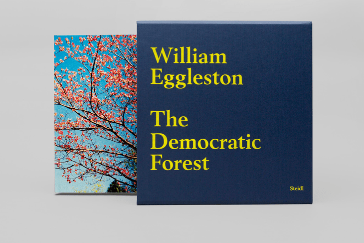 William Eggleston : 民主森林_搜狐网