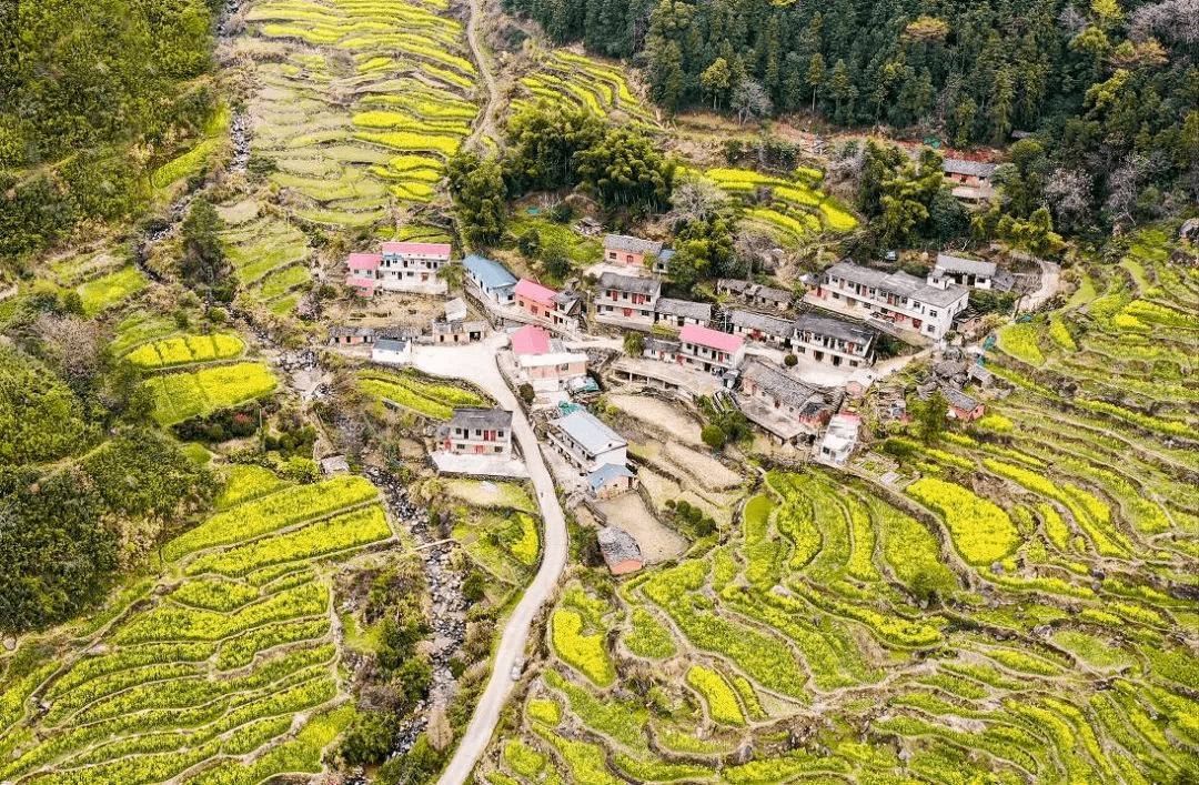 點擊藍字關注我們