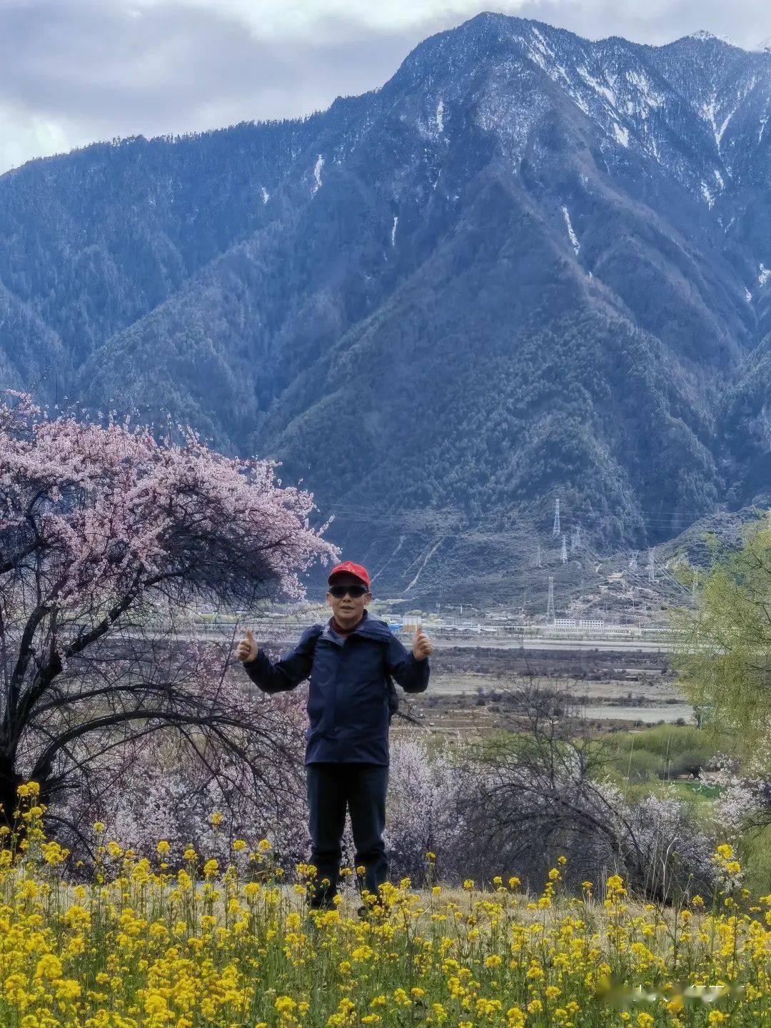 气清寰宇工布家妆点神山气冰清老桃怒放新桃绽雪映老树枝纵横