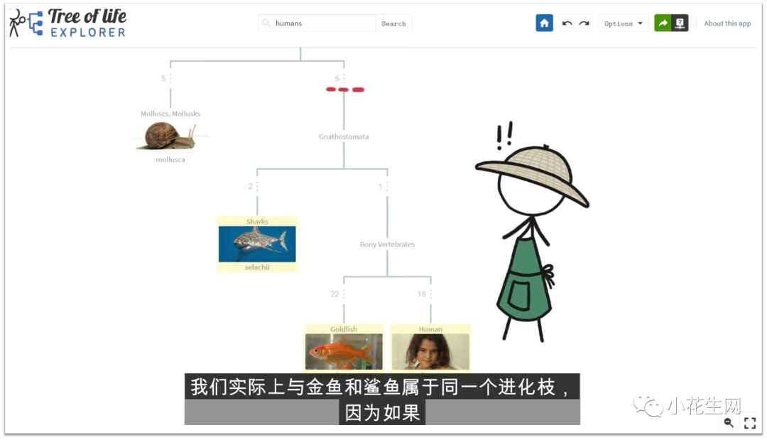 10个大开眼界的“科普秀”，快去B站找给娃看