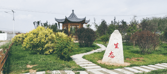 一个小山村的华美蜕变