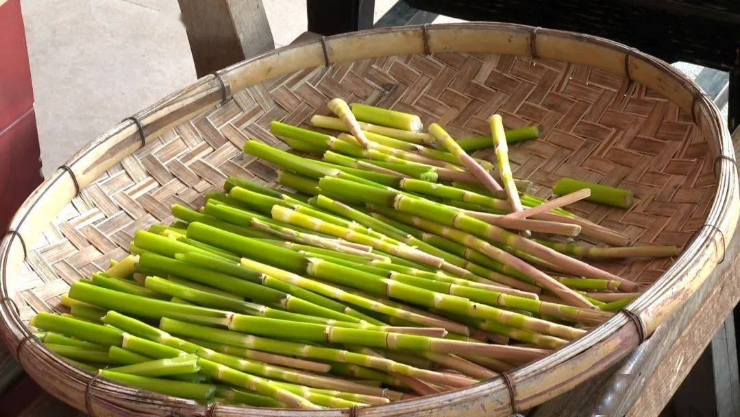 清桂村开启"全民摘笋"模式_甜笋_村民_洲仔镇
