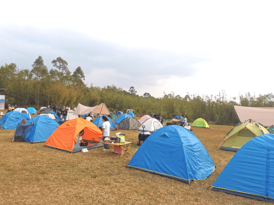 今年的博罗这个帐篷季,燃!_活动_观音阁镇_表演