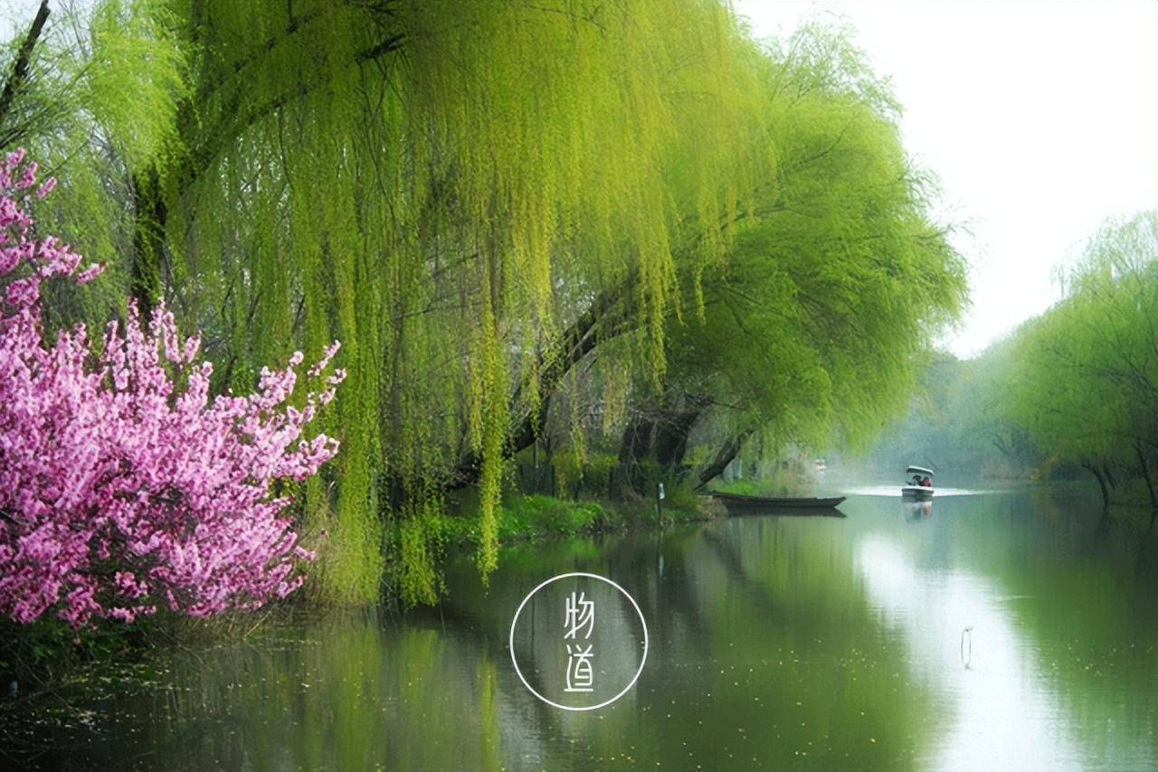 「春分」一半,人间芳华_花香_春光_日子