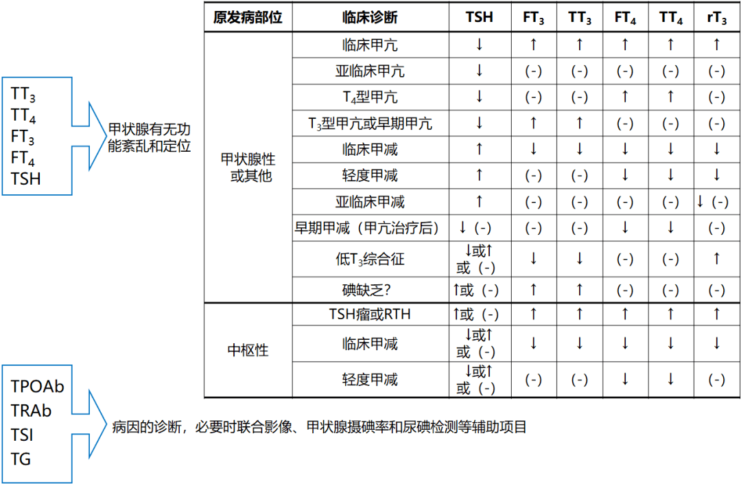 抗体,包括甲状腺刺激性抗体(tsab)和甲状腺抑制性抗体(tbab)两种亚型
