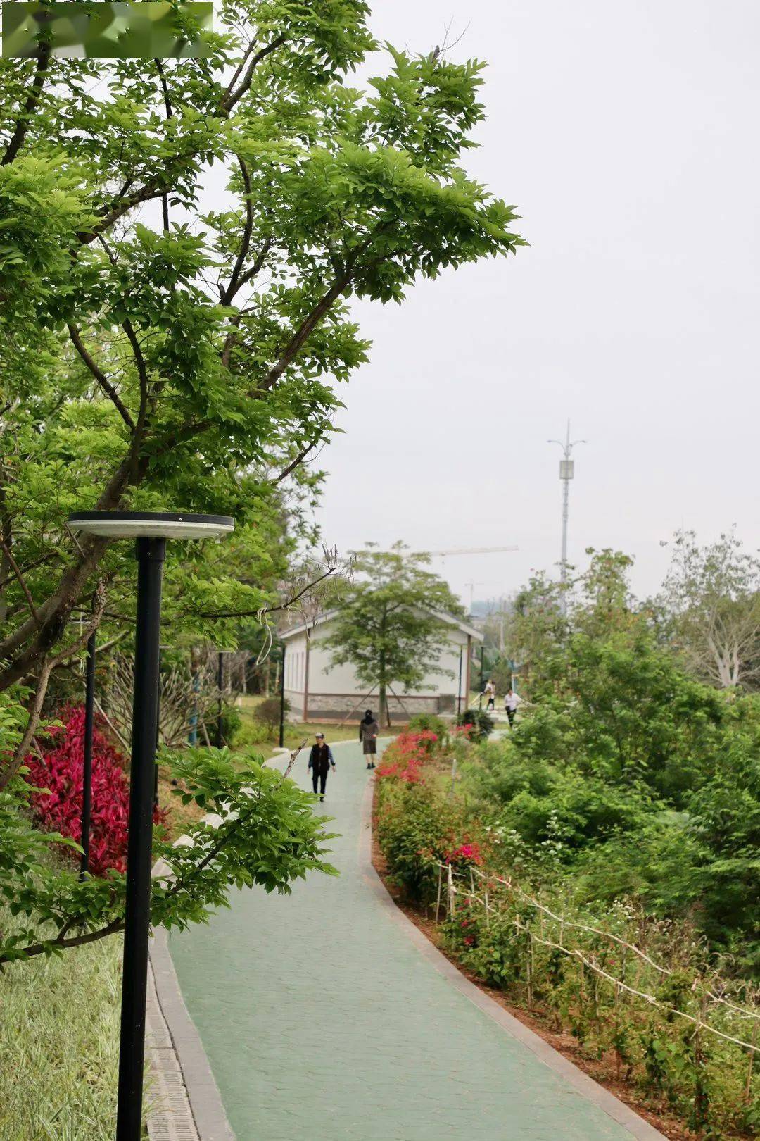 罗定度假村