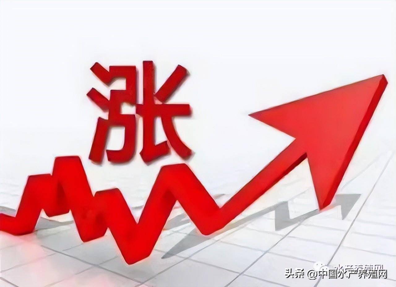 主产区严重缺货,一周猛涨25元,小龙虾这波疯狂涨价能撑多久?