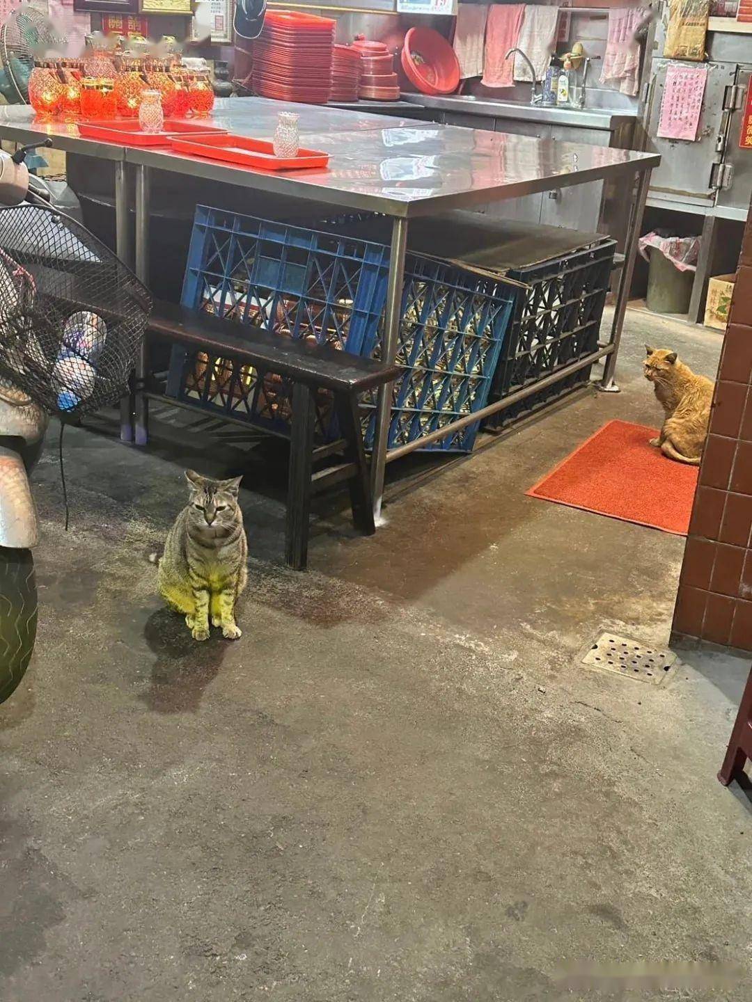 王八蛋_哥哥_网友