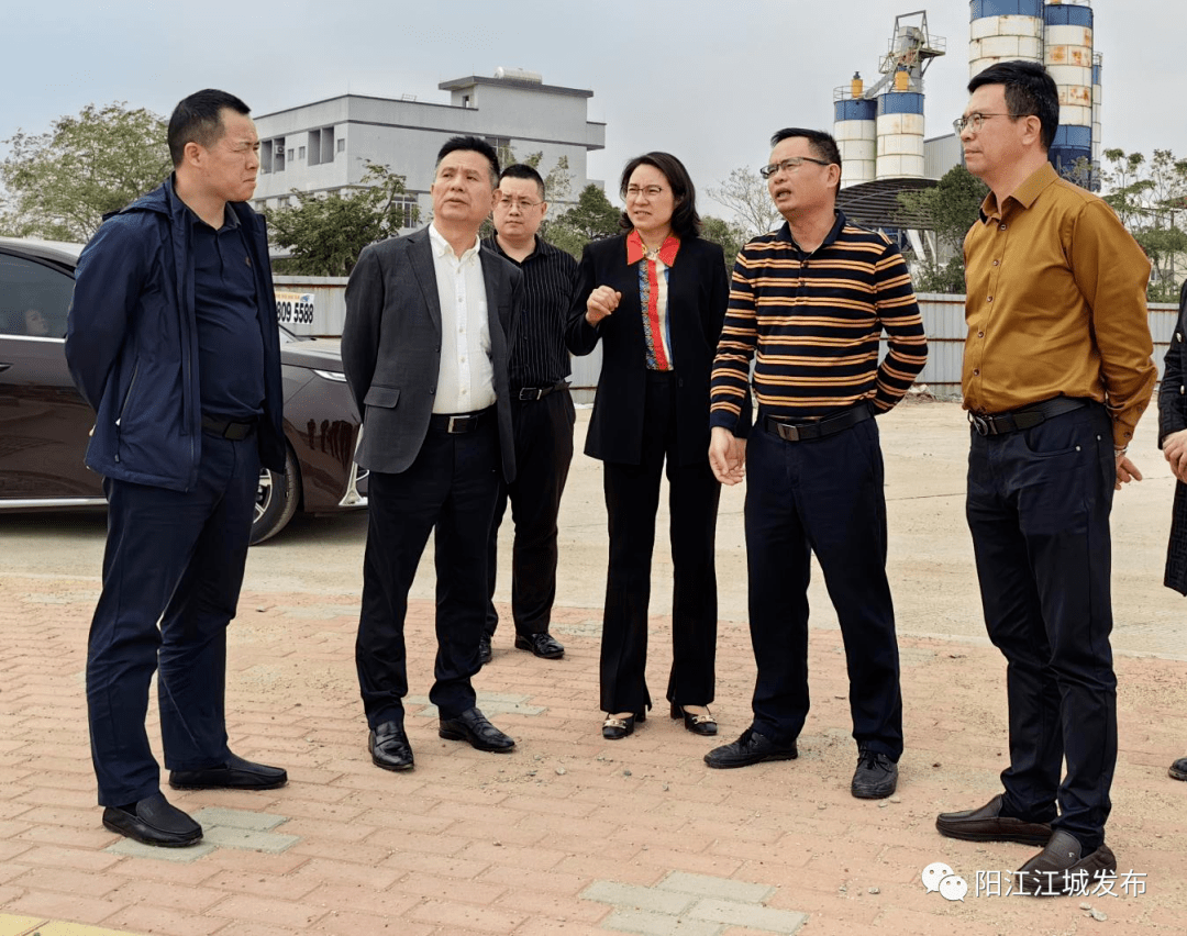心里程控股集团一行到江城区推动项目落地_投资_教育信息化_企业