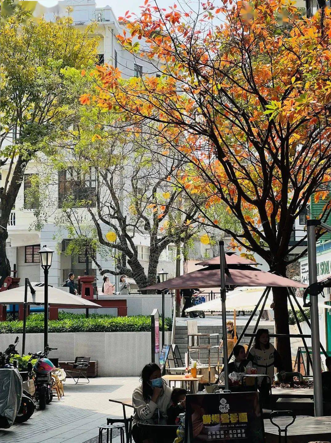 张唐新作 | 广州恩宁路城市更新_街区_场地_改造