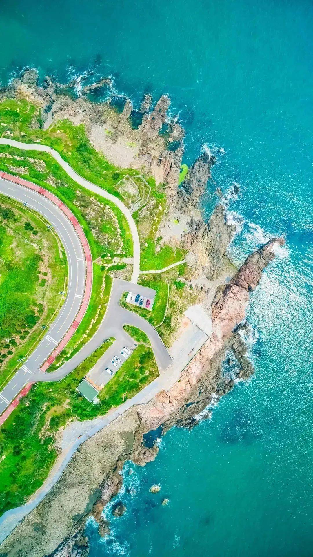 青岛最美的公路图片