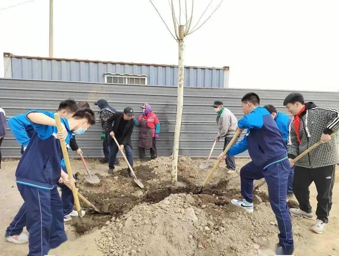 王兰庄镇团委组织开展"党团队手拉手 植树护木一起走"主题植树活动
