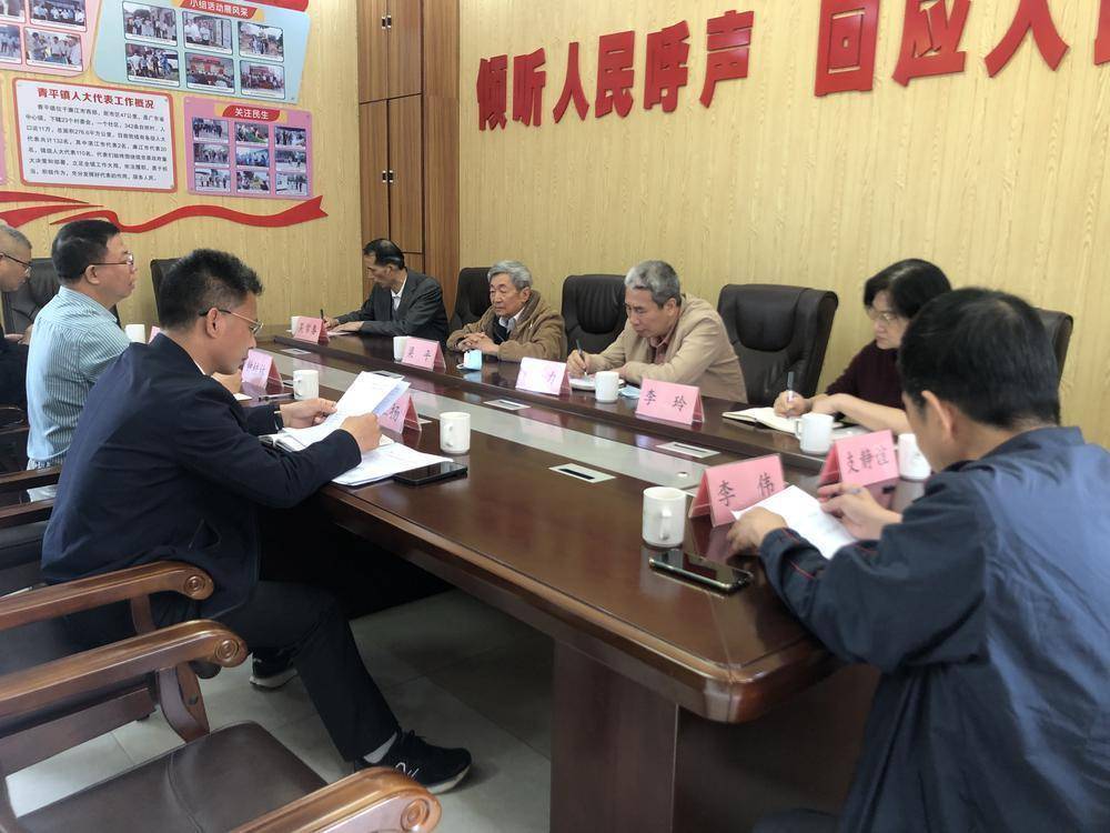 湛江市老促会赴廉江调研,为革命老区乡村振兴献计献策_青平镇_发展