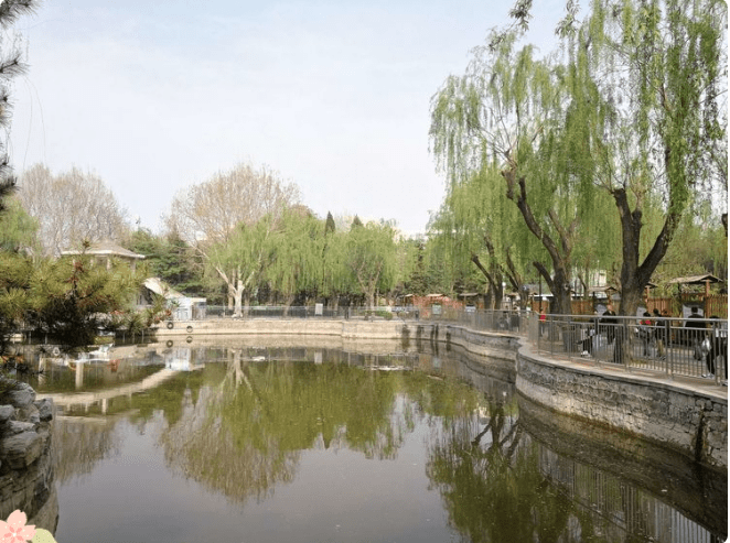 春风十里，赏花走起！大兴区赏花地图已上线