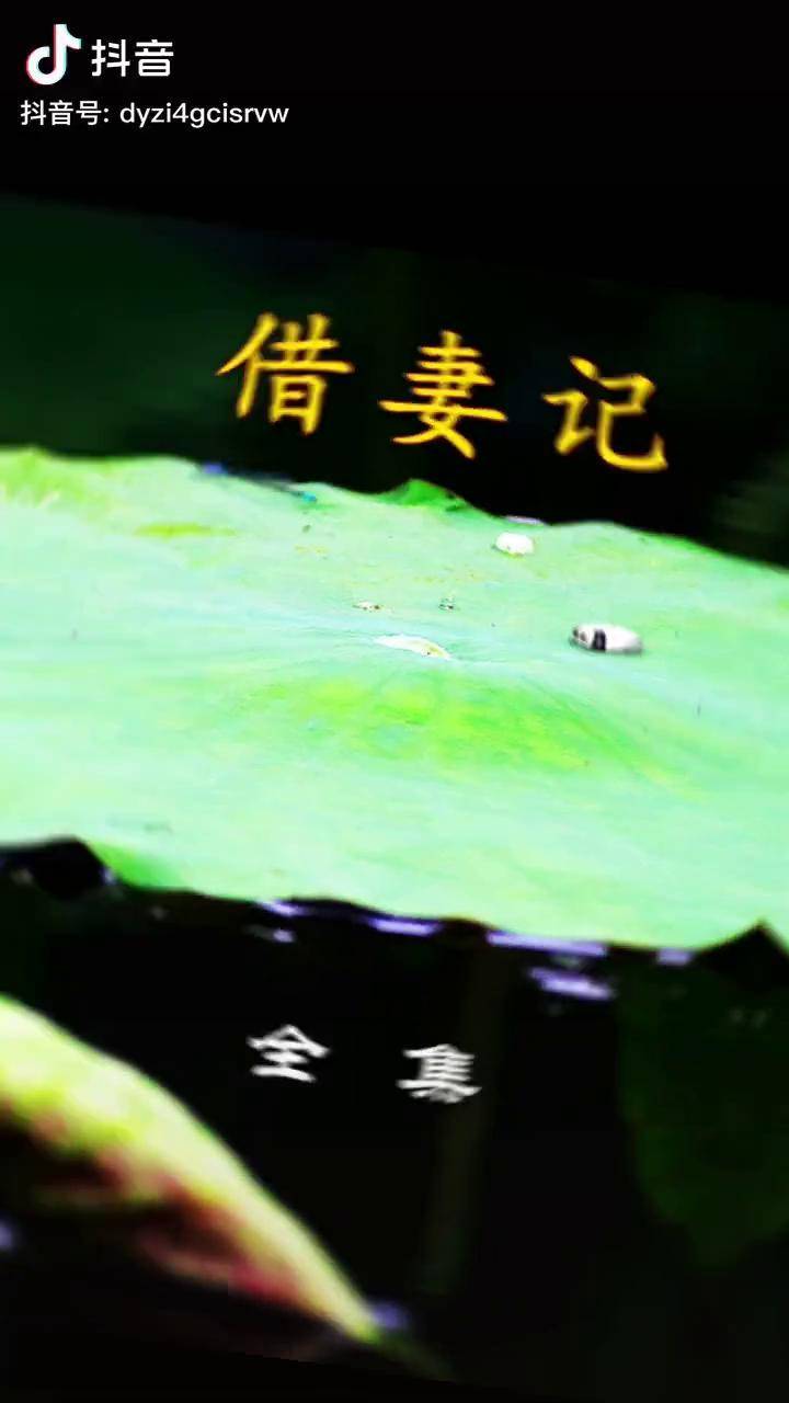《借妻记》全集