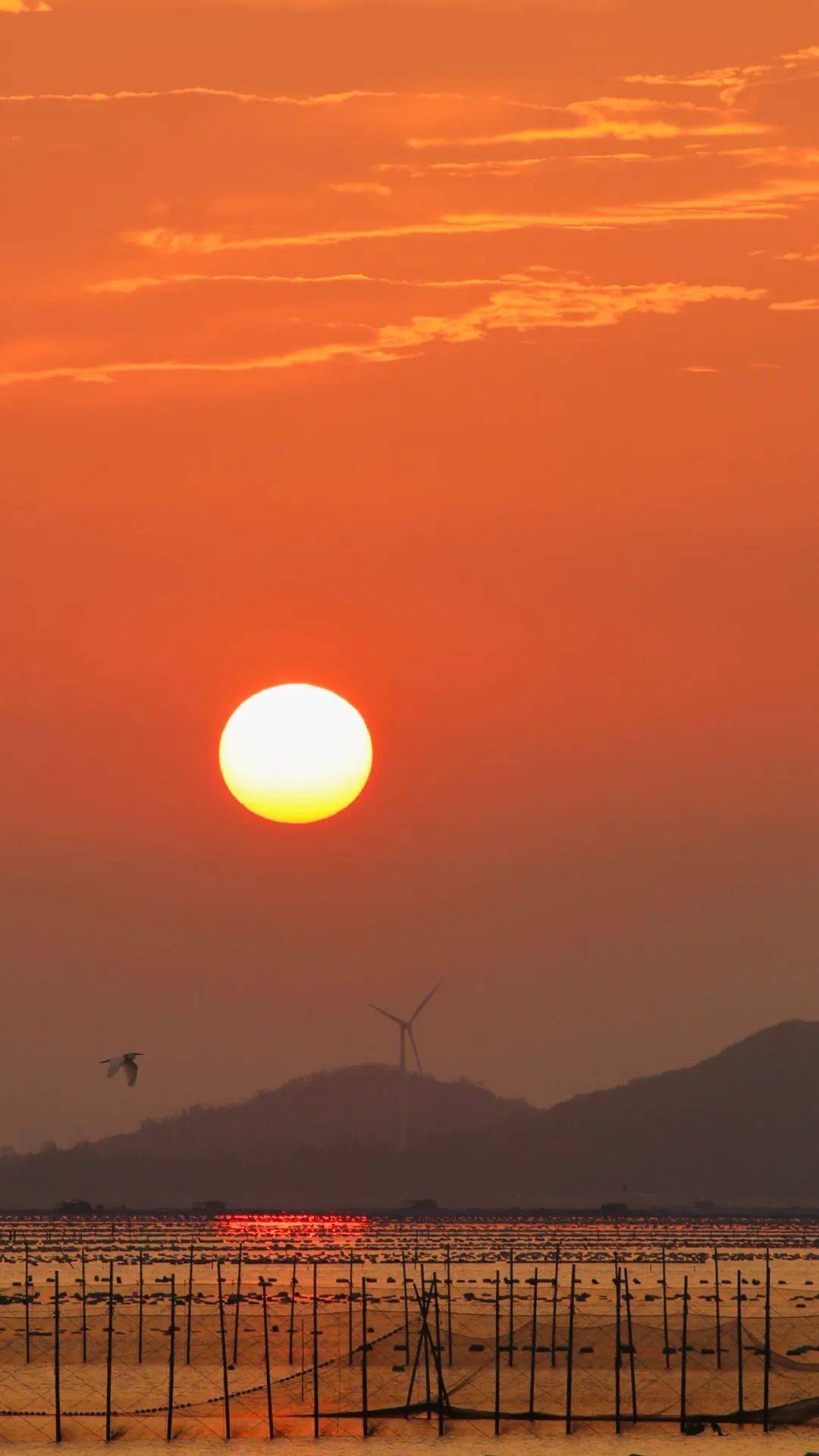 嗨,东山 | 霞光万丈,唯美梦幻_宣传_新闻网_邮箱