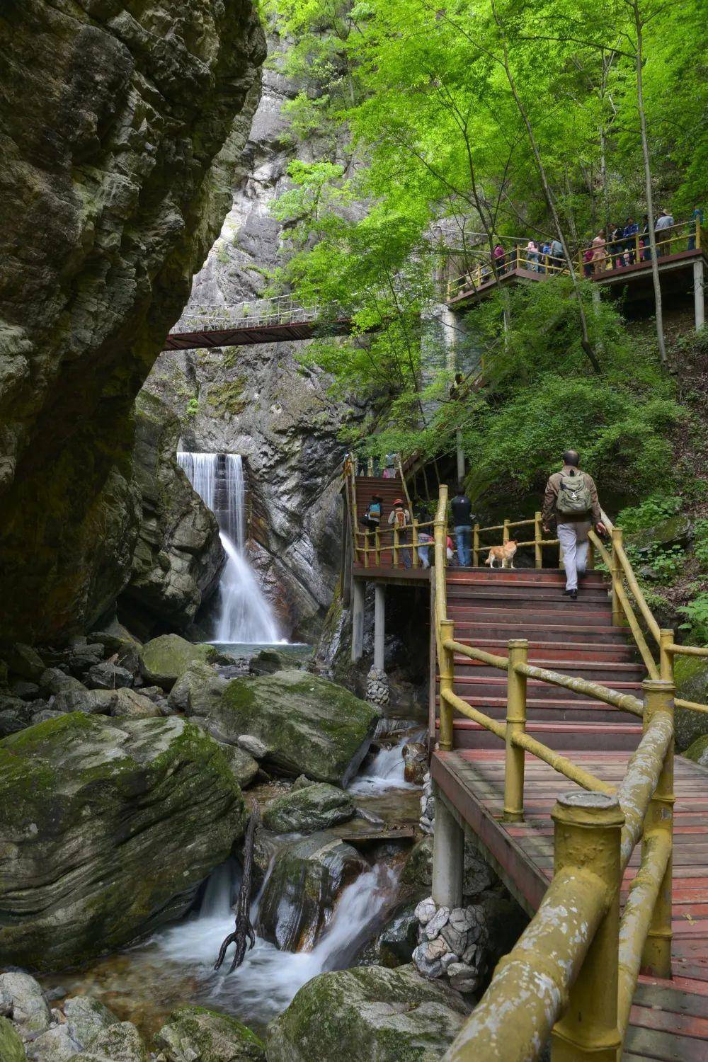 随着海拔的变化,风景一路变化美景如画 ,景色秀丽春天的牛背梁清泉