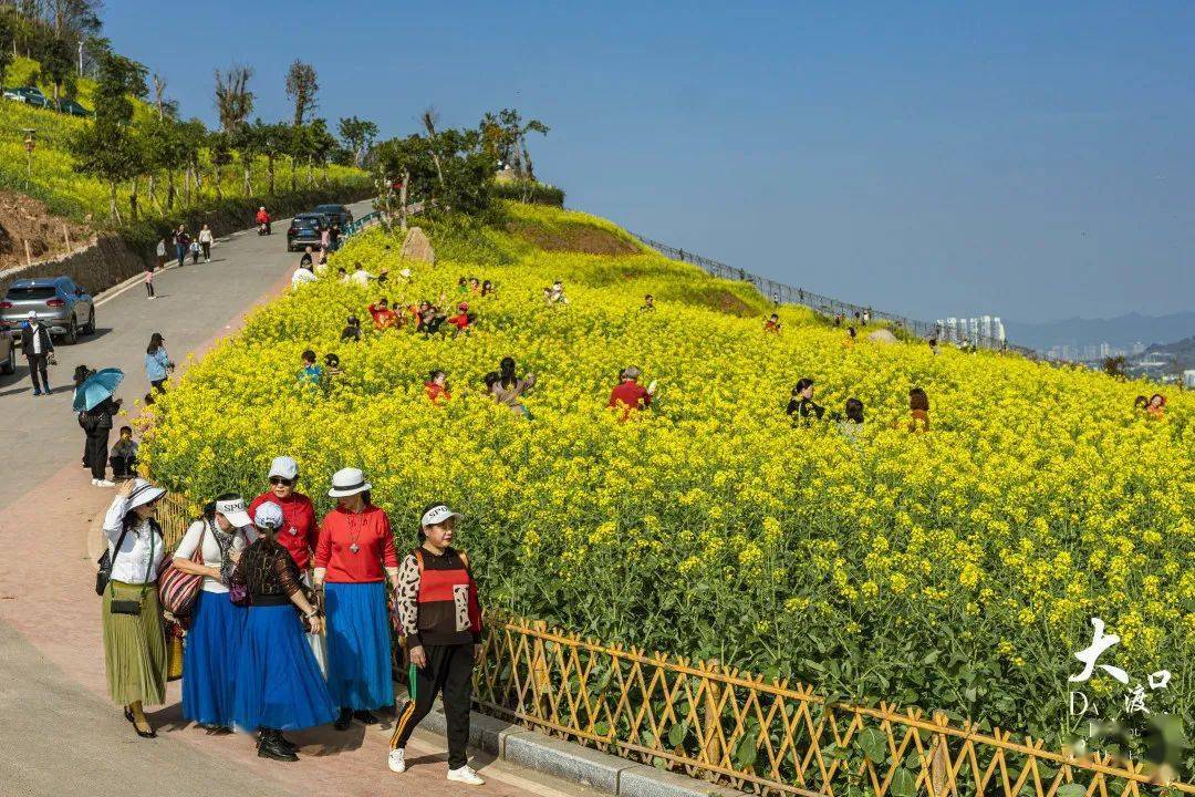 重庆大渡口金鳌山图片