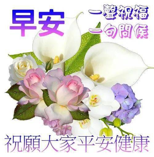 今日最新早上好问候祝福图片精选