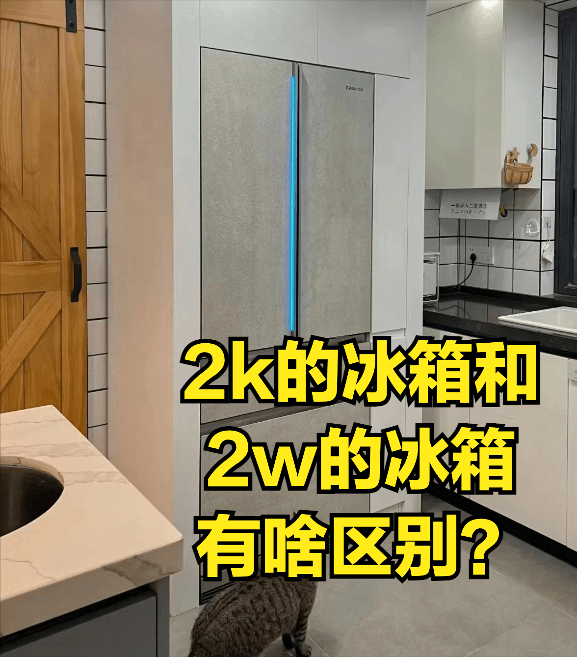 2000元的冰箱和2w的冰箱，区别到底在哪？此次我实的大白了