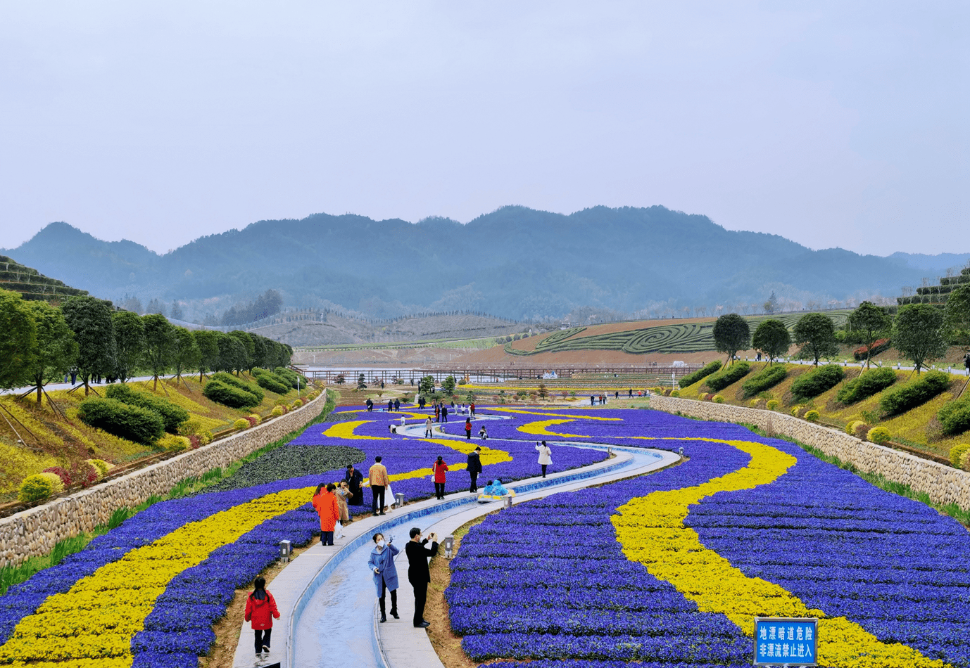 安化茶乡花海风景区图片