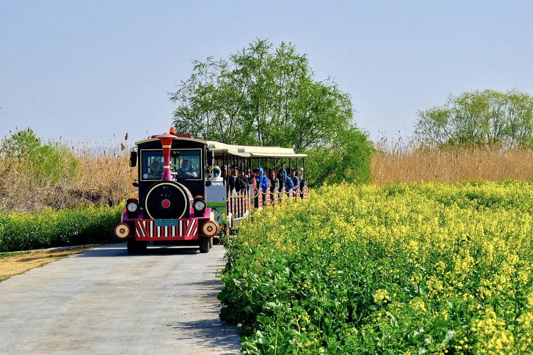 高邮湖上花海景区电话图片